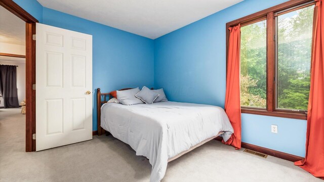 102 Sequoia Dr, Byesville, OH 43723 - view of carpeted bedroom