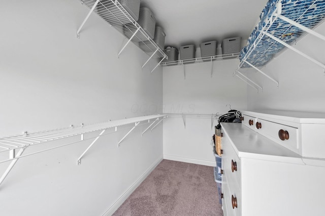 8318 Fig Grove Way, Plain City, OH 43064 - spacious closet with carpet floors