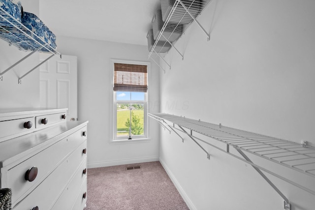 8318 Fig Grove Way, Plain City, OH 43064 - walk in closet with light colored carpet