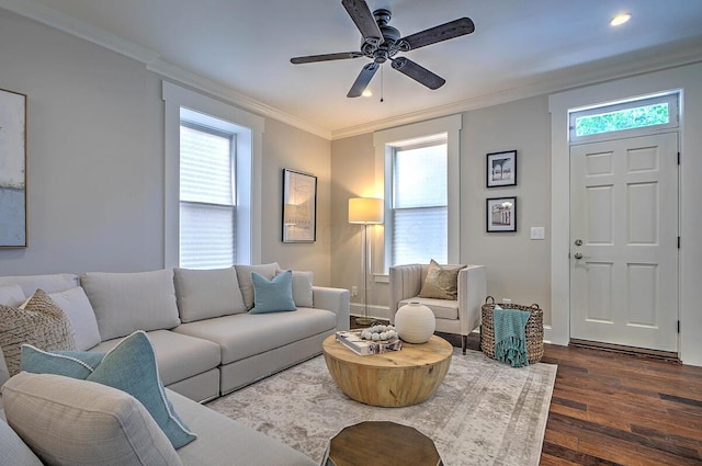 717 S 3rd St, Columbus, OH 43206 - living room with dark wood-style flooring, ornamental molding, ceiling fan, and recessed lighting