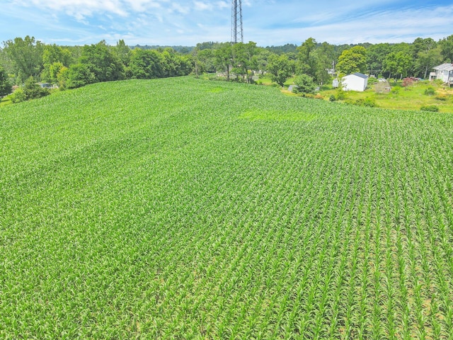 7945 Blacks Rd SW, Pataskala, OH 43062 - photo 13