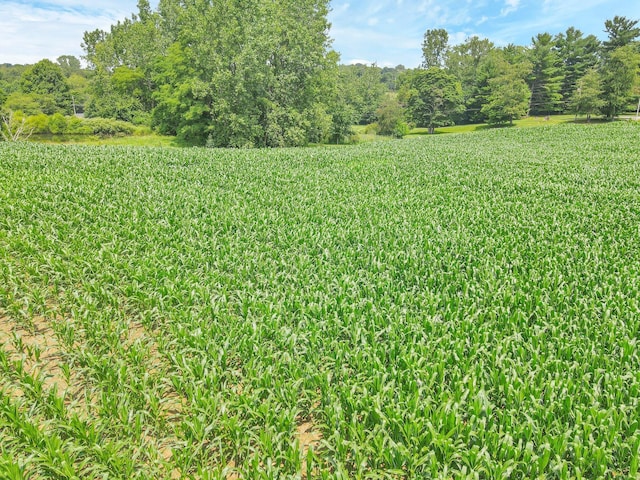 7945 Blacks Rd SW, Pataskala, OH 43062 - photo 14