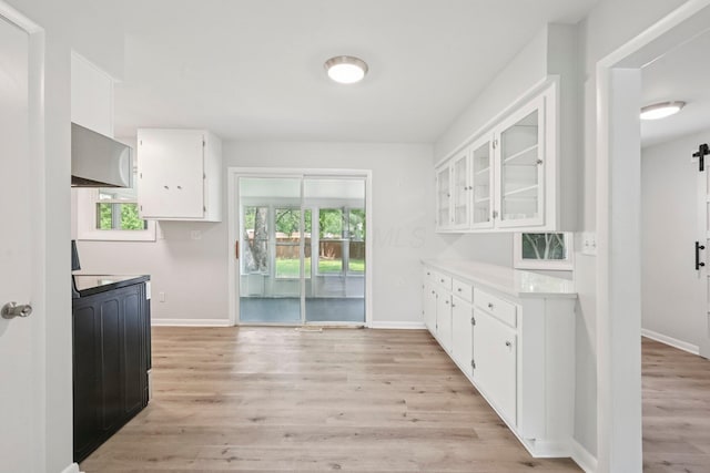 106 Woodrow Ave, Delaware, OH 43015 - kitchen with white cabinetry, a barn door, baseboards, light wood finished floors, and glass insert cabinets