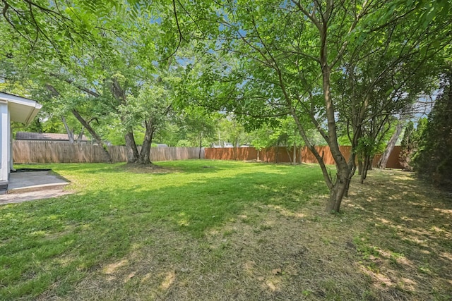 106 Woodrow Ave, Delaware, OH 43015 - view of yard