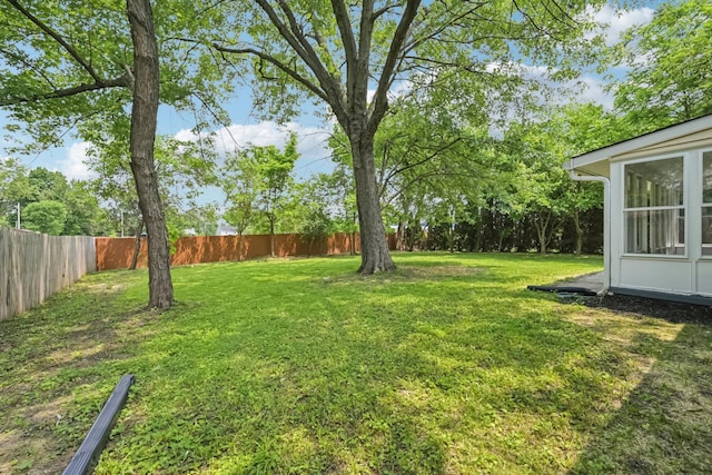 106 Woodrow Ave, Delaware, OH 43015 - view of yard