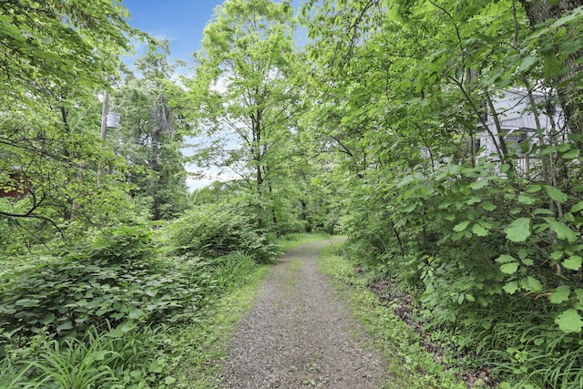3381/2 16th St, Lancaster, OH 43130 - view of road