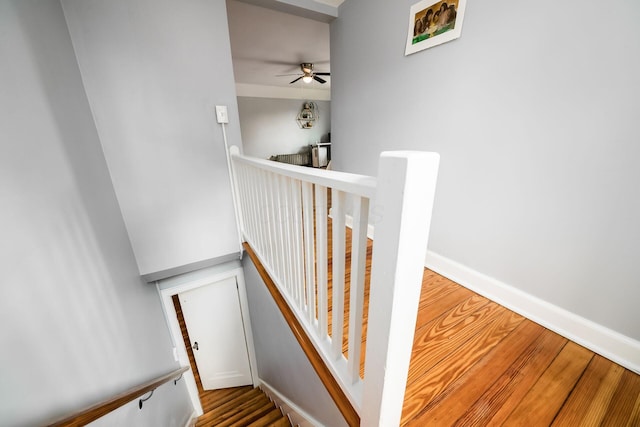 141 S Kellner Rd, Columbus, OH 43209 - staircase featuring a ceiling fan and wood finished floors