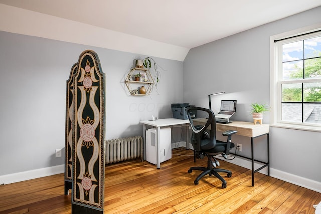 141 S Kellner Rd, Columbus, OH 43209 - office with radiator, hardwood / wood-style floors, and lofted ceiling