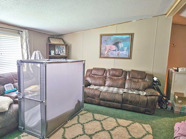 2163 Moody Hollow Rd, Blue Rock, OH 43720 - living room featuring carpet floors and a textured ceiling