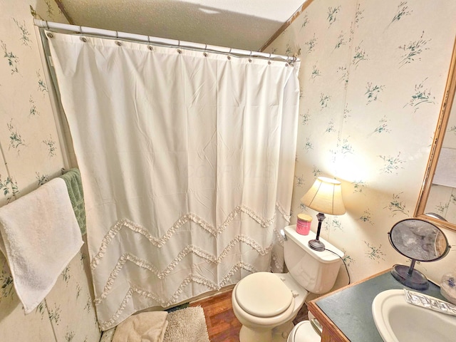 2163 Moody Hollow Rd, Blue Rock, OH 43720 - bathroom featuring vanity, toilet, wallpapered walls, wood finished floors, and curtained shower