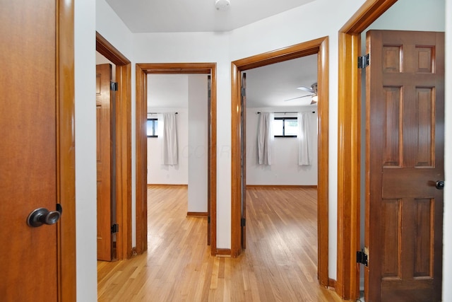 1345 Molly Ln, Columbus, OH 43207 - hall with light wood-style flooring