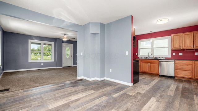 422 N Cedar St, Newark, OH 43055 - kitchen featuring dishwasher, dark wood-type flooring, and healthy amount of natural light