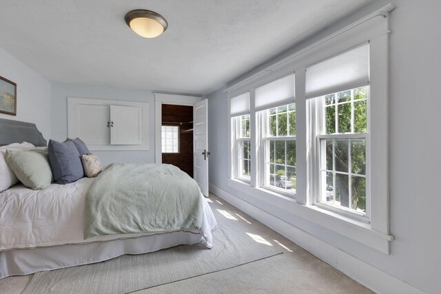 78 Griswold St, Delaware, OH 43015 - carpeted bedroom featuring multiple windows and a closet