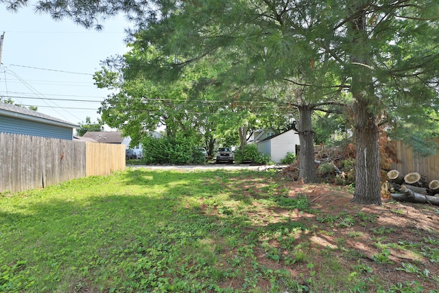 1208 Seymour Ave, Columbus, OH 43206 - view of yard