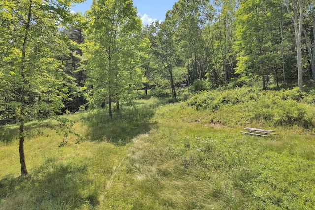 32044 Gibson Hollow Rd, Londonderry, OH 45647 - photo 14