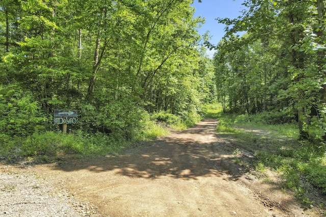 32044 Gibson Hollow Rd, Londonderry, OH 45647 - photo 17