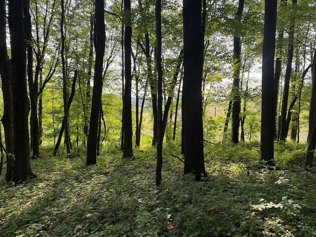 0 King Rd, Howard, OH 43028 - photo 1