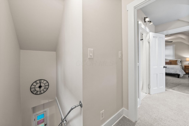 145 E Sycamore St, Columbus, OH 43206 - detailed view of carpet and baseboards
