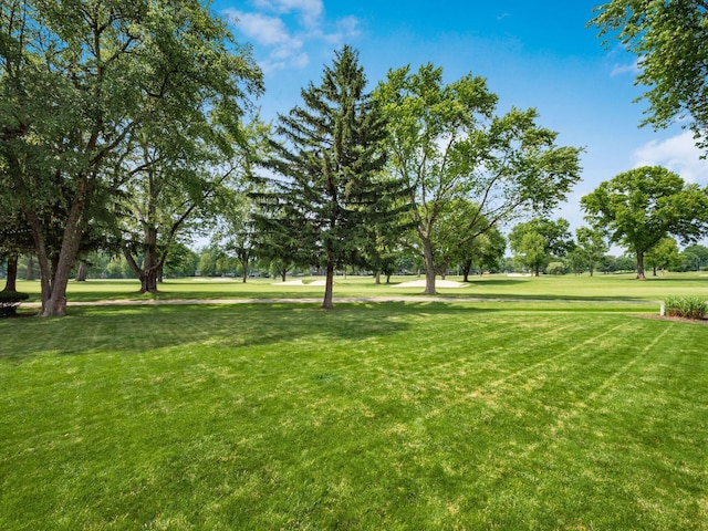1360 Clubview Blvd S, Columbus, OH 43235 - view of green lawn
