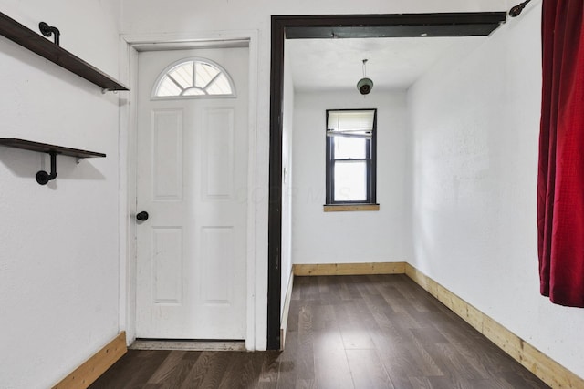 421 E Main St, Newark, OH 43055 - entryway featuring plenty of natural light, dark wood-type flooring, and baseboards