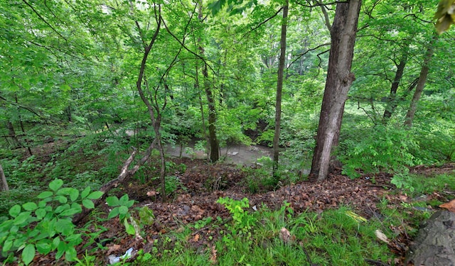 2474 Mecca Rd, Columbus, OH 43224 - view of tree filled area