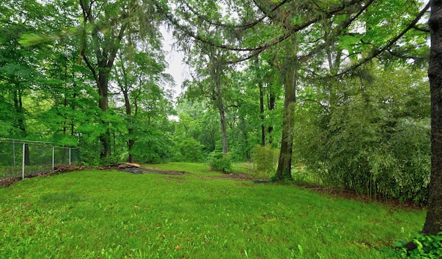 2474 Mecca Rd, Columbus, OH 43224 - view of yard featuring a view of trees