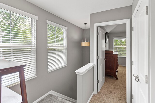 377 Westgreen Ln, Westerville, OH 43082 - photo 17