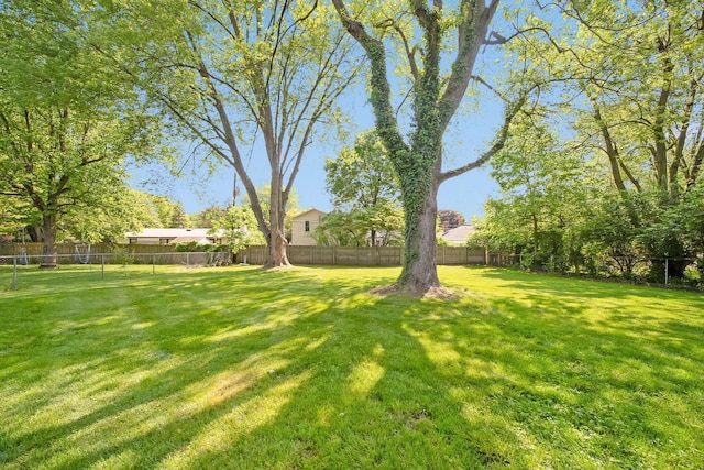 5770 Linworth Rd, Columbus, OH 43235 - view of yard