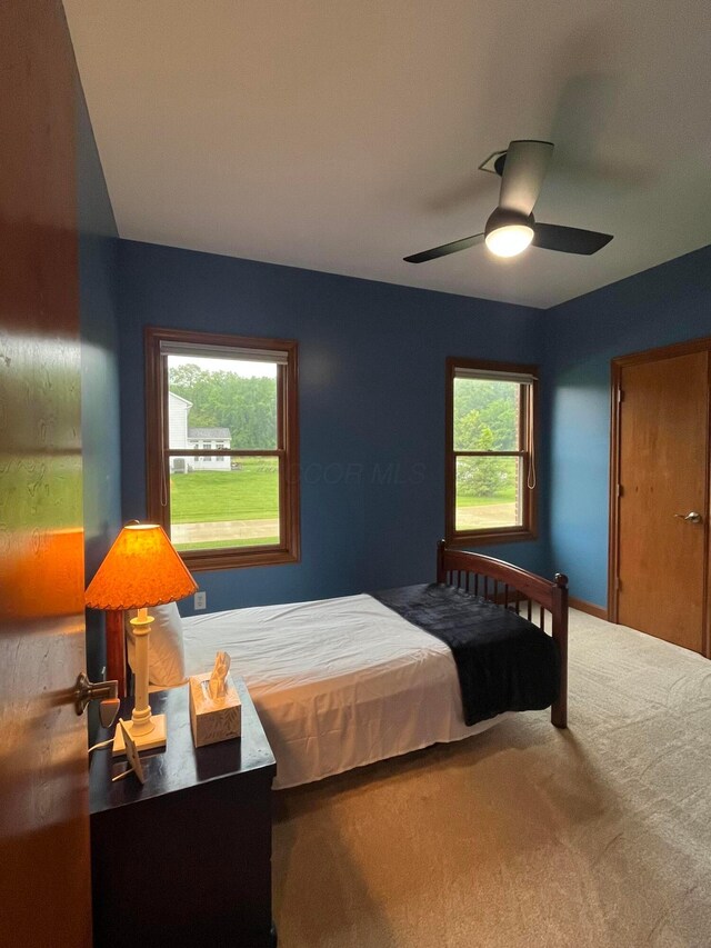 120 Carlingford Dr, Granville, OH 43023 - photo 57