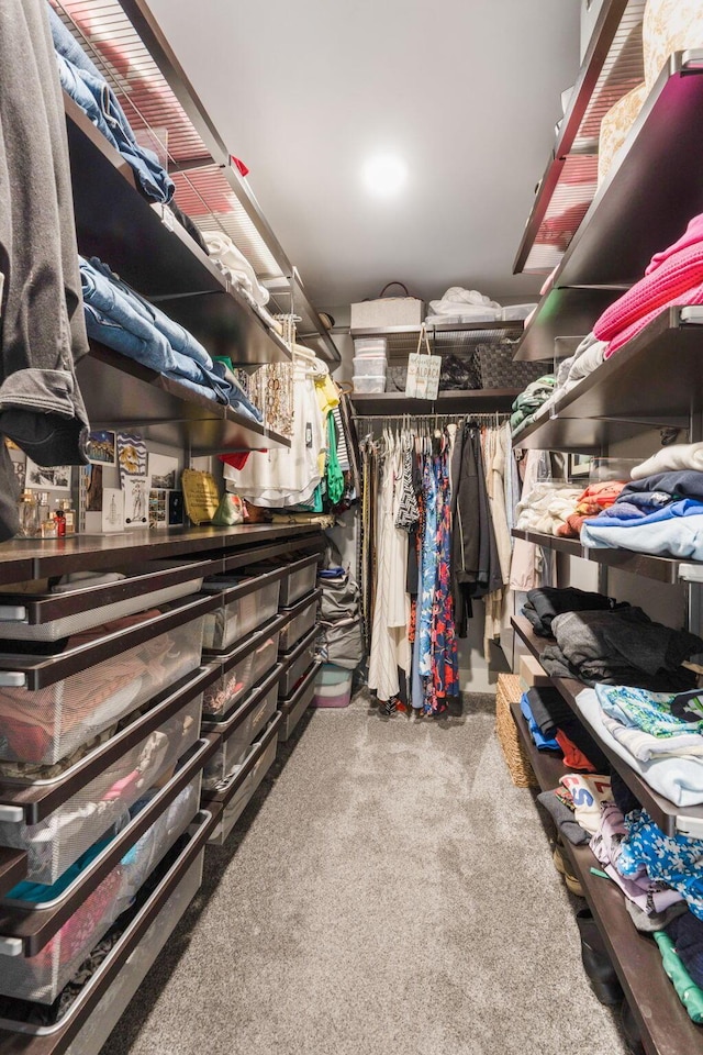3515 Babbitt Rd, Blacklick, OH 43004 - spacious closet with carpet floors