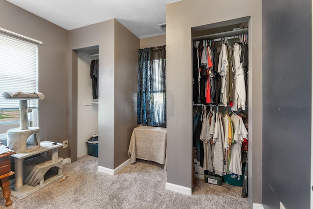 3009 Hiawatha St, Columbus, OH 43224 - bedroom with multiple windows, a closet, carpet floors, and baseboards