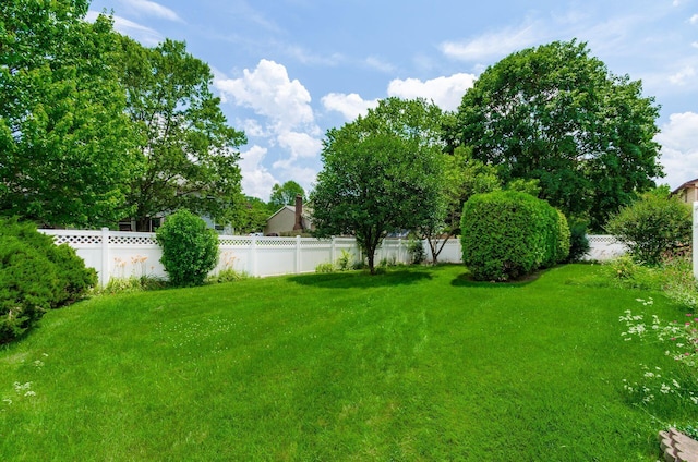 13582 Capetown Ave, Pickerington, OH 43147 - view of fenced backyard