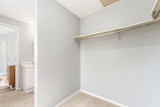 6541 Skywae Dr, Columbus, OH 43229 - walk in closet featuring light colored carpet