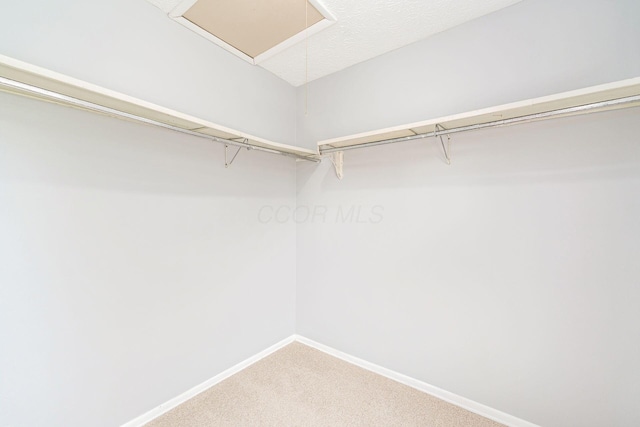 6541 Skywae Dr, Columbus, OH 43229 - walk in closet featuring carpet flooring