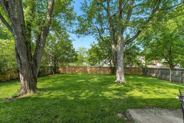 6541 Skywae Dr, Columbus, OH 43229 - view of yard