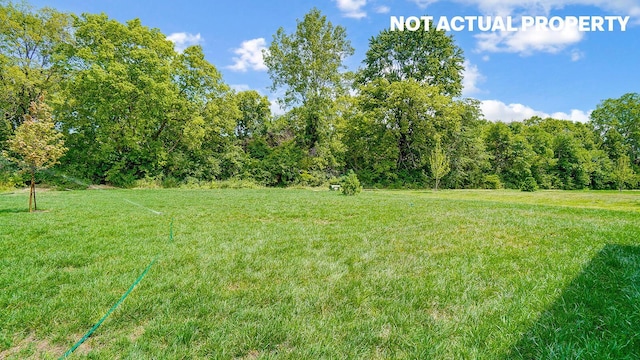 1486 Chrisman Dr, Columbus, OH 43223 - view of grassy yard with a wooded view
