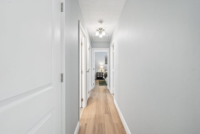 4561 Valley Quail Blvd N, Westerville, OH 43081 - hallway featuring light wood-type flooring, baseboards, and a textured ceiling