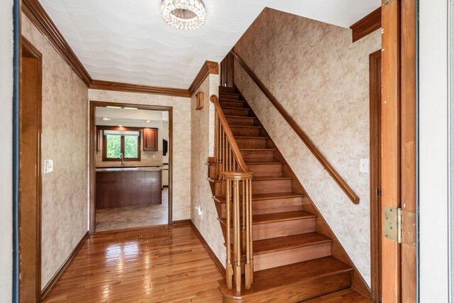 640 Glacier Pass, Westerville, OH 43081 - photo 7