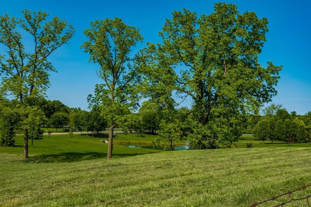 640 Glacier Pass, Westerville, OH 43081 - photo 61