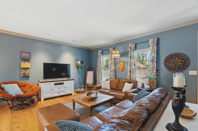 791 York St W, Mansfield, OH 44904 - living room featuring light wood-style floors, crown molding, and baseboards