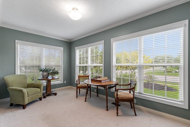 345 Quarter Way, Delaware, OH 43015 - living area featuring ornamental molding, light colored carpet, plenty of natural light, and baseboards