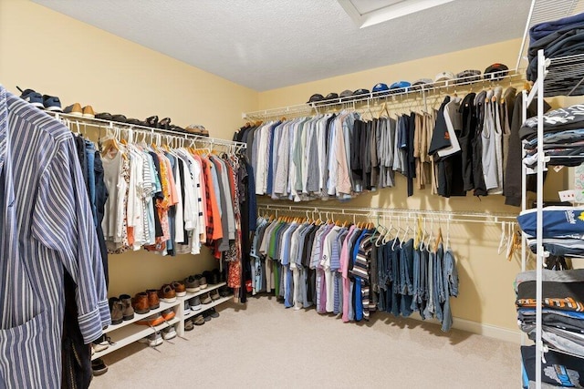 345 Quarter Way, Delaware, OH 43015 - spacious closet featuring carpet floors and attic access