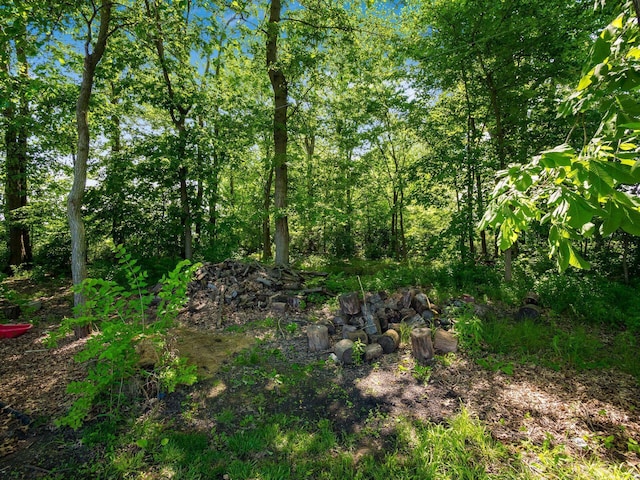 2073 Jeffey Dr, Hilliard, OH 43026 - view of undeveloped land