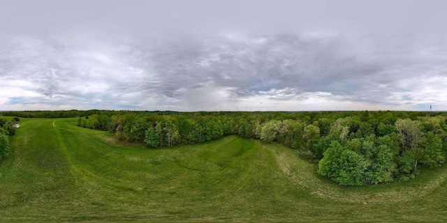 32046 Red Hill Rd, Langsville, OH 45741 - photo 19