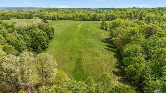 32046 Red Hill Rd, Langsville, OH 45741 - photo 41