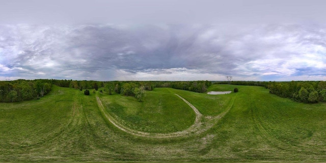 32046 Red Hill Rd, Langsville, OH 45741 - photo 43