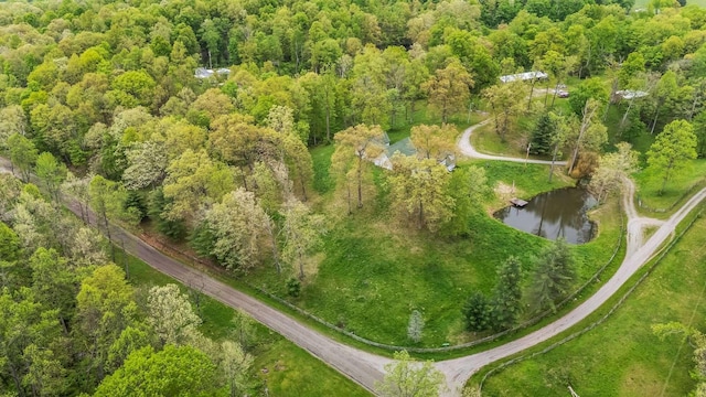 32046 Red Hill Rd, Langsville, OH 45741 - photo 51