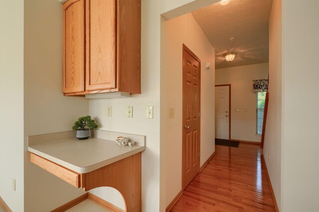 1300 Sotherby Xing, Lewis Center, OH 43035 - hall with light wood-style flooring, baseboards, and a textured ceiling