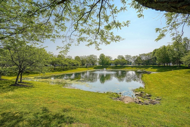 1300 Sotherby Xing, Lewis Center, OH 43035 - water view