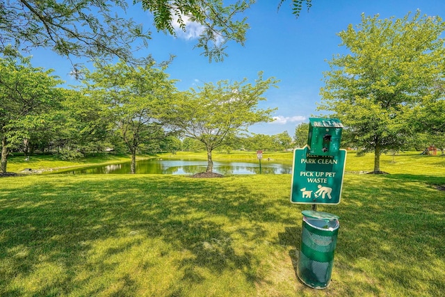 1300 Sotherby Xing, Lewis Center, OH 43035 - view of home's community with a water view and a yard